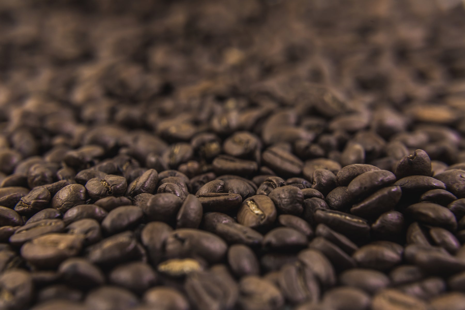 Robusta and Arabica coffee beans
